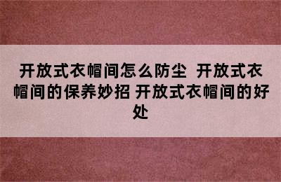 开放式衣帽间怎么防尘  开放式衣帽间的保养妙招 开放式衣帽间的好处